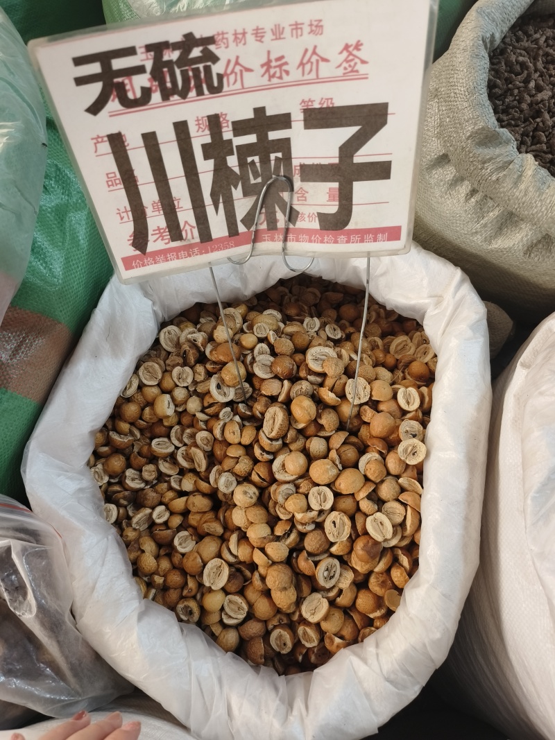 中药材川楝子批发零售保证质量