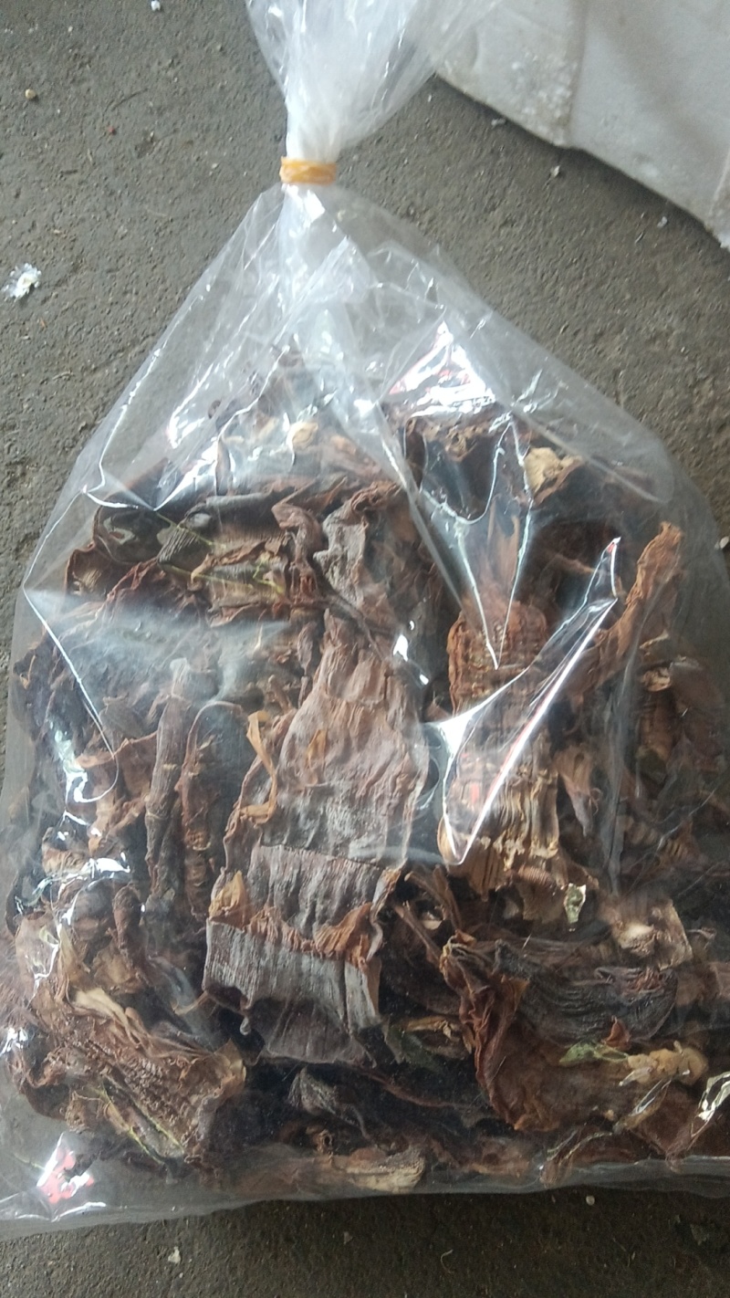 越南野生簿竹！竹笋干！野生薄竹！纯正货品！