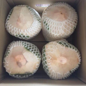 削皮椰青产地直发诚信经营，收到货48小时内，坏多少赔多少
