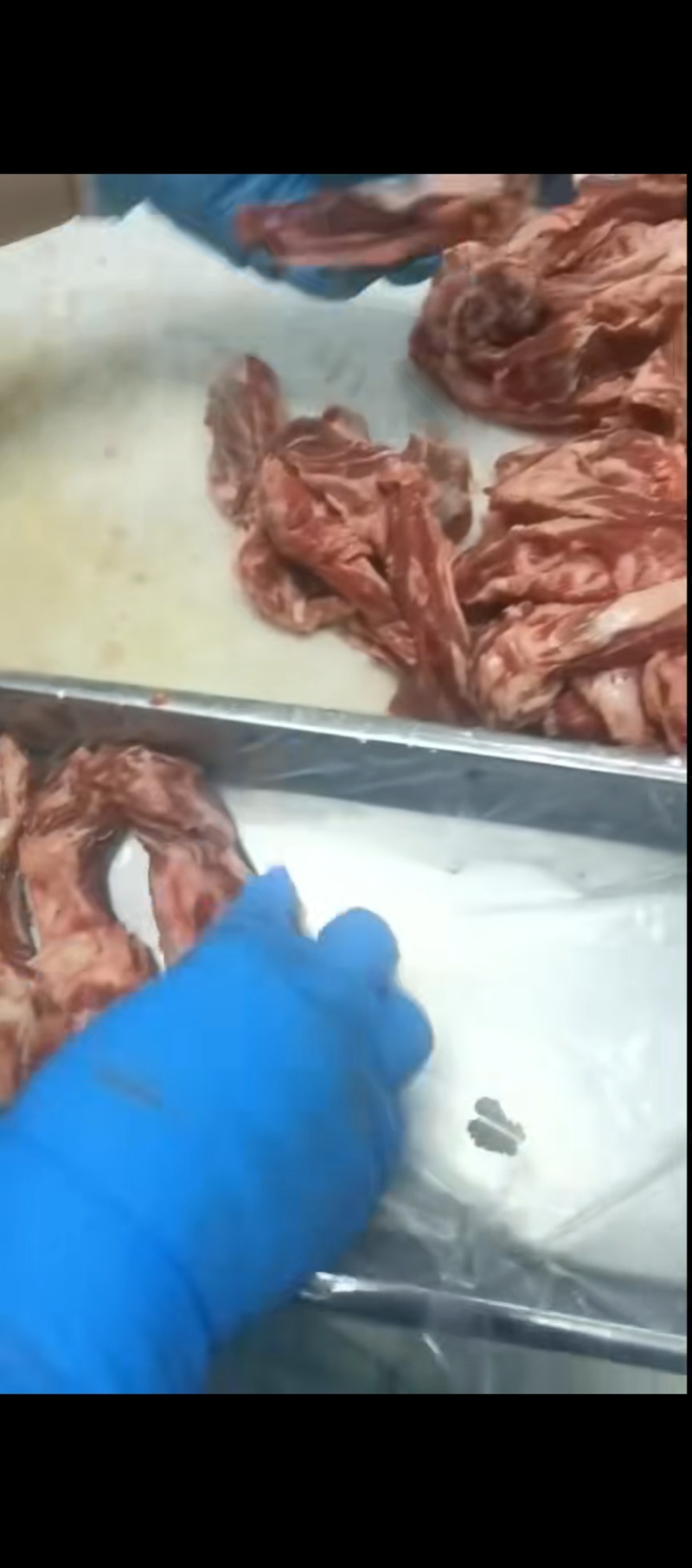 国产谷饲牛肋条肉，品质稳定，牛肋条自助客户看过来