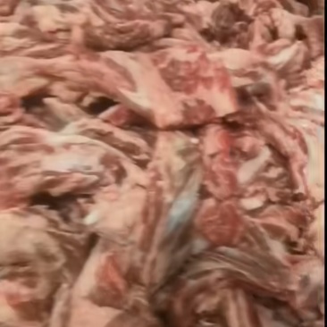国产谷饲牛肋条肉，品质稳定，牛肋条自助客户看过来