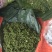 越南雀椒北越边境山区一手货源正品真货