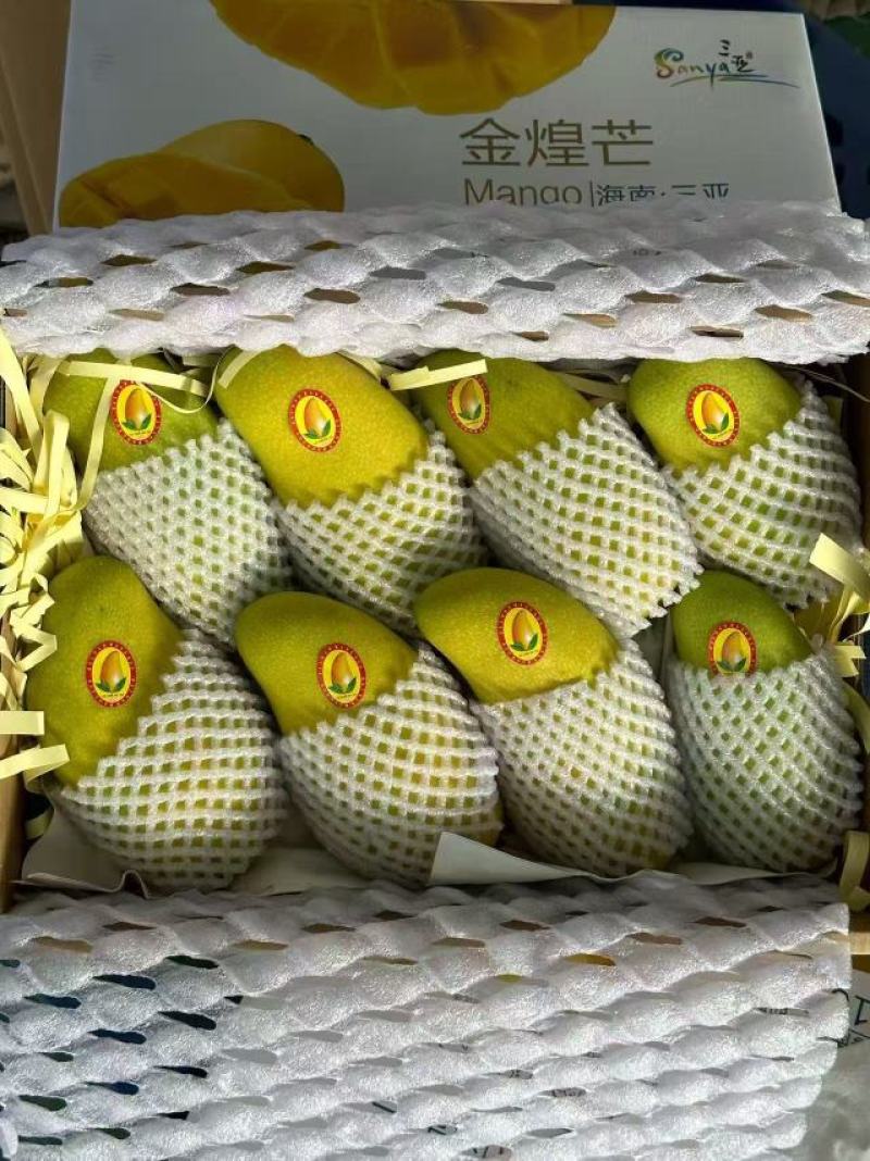 金煌芒，产地直发，诚信经营，有坏果包售后