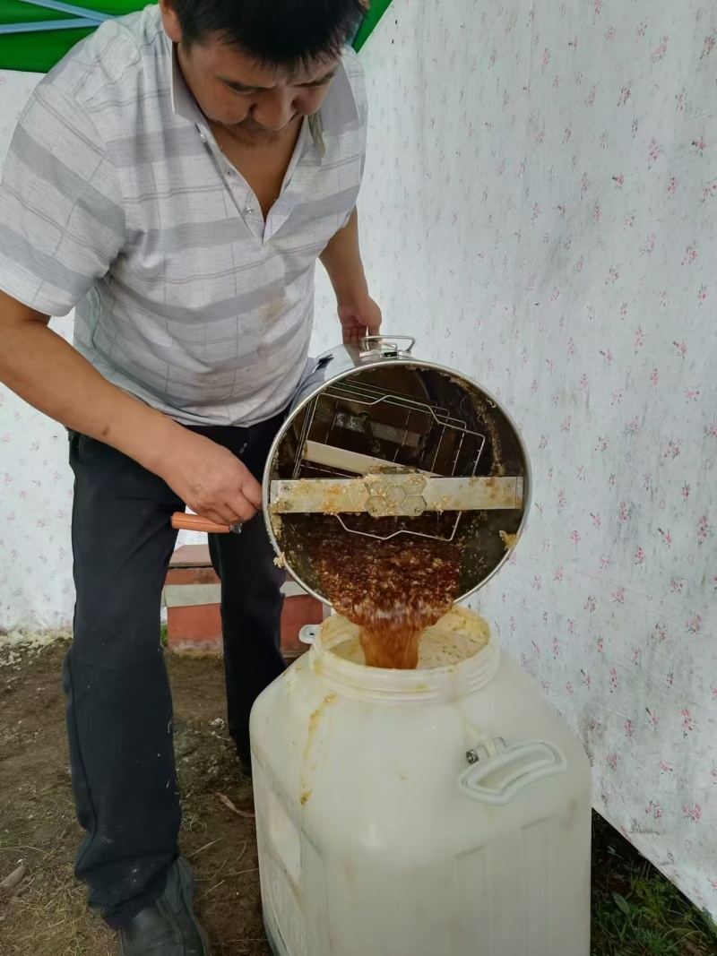 高原药材野生蜂蜜