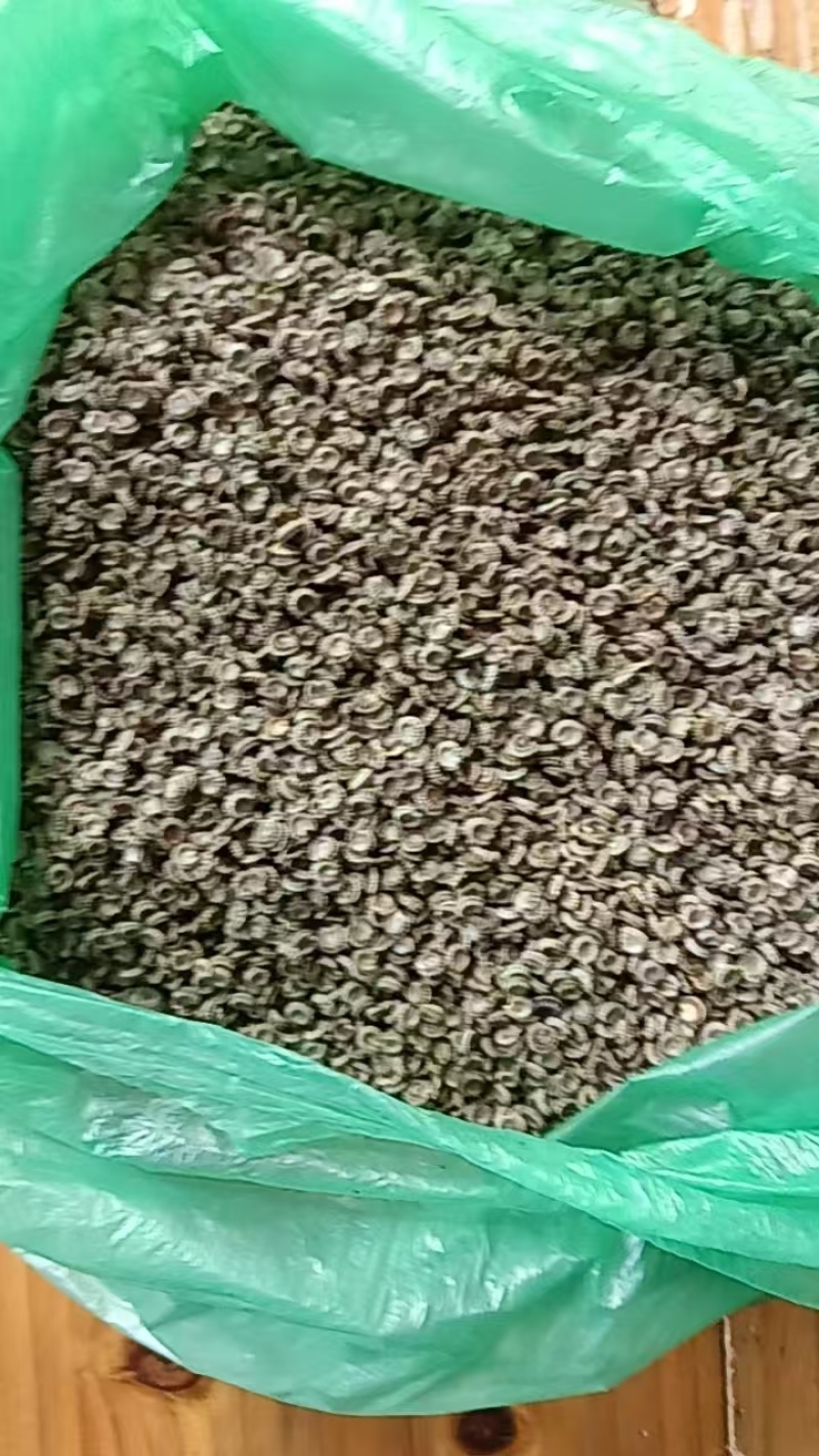 江西道地中药材粉防己种子，提技术指导！