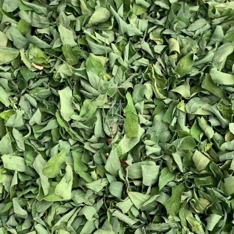 相思叶【包邮】三斤起发货可批量可零售量大从优