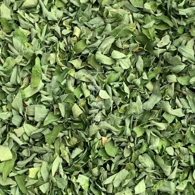 相思叶【包邮】三斤起发货可批量可零售量大从优