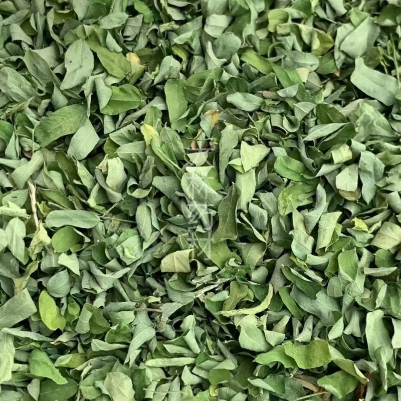 相思叶【包邮】三斤起发货可批量可零售量大从优