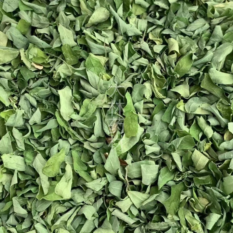 相思叶【包邮】三斤起发货可批量可零售量大从优