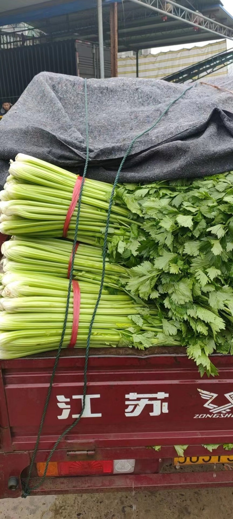 大芹菜