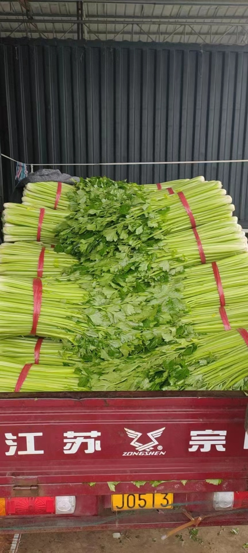 大芹菜