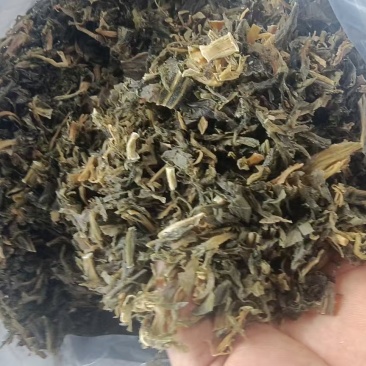 精品雪里红梅干菜大量供货全国发货一手货源支持视频看货