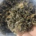 精品雪里红梅干菜大量供货全国发货一手货源支持视频看货