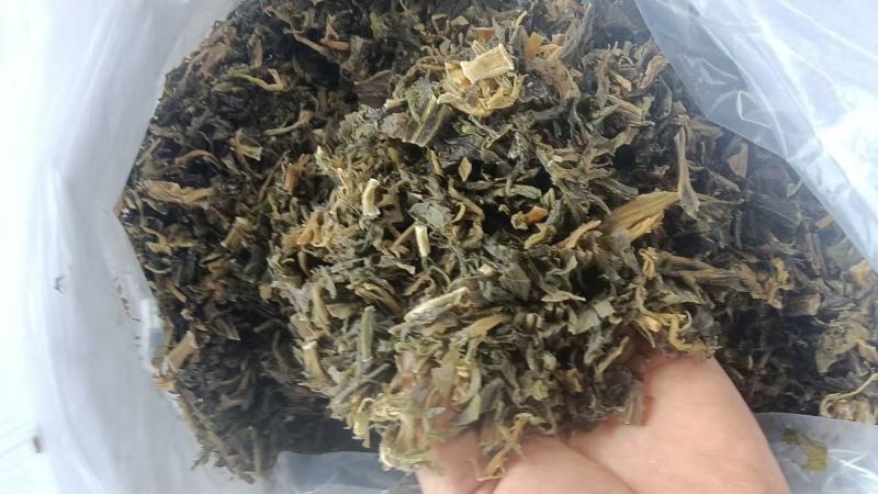 精品雪里红梅干菜大量供货全国发货一手货源支持视频看货