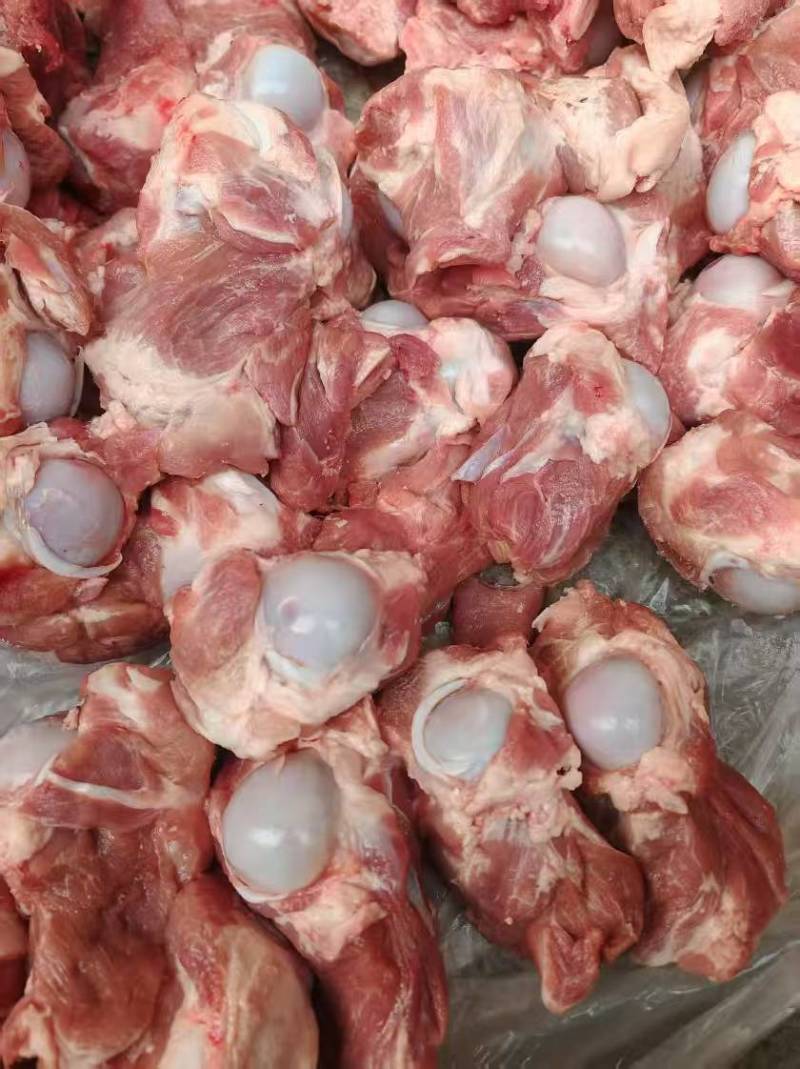 【推荐】满肉前棒骨/厂家直发/视频看货/欢迎咨询