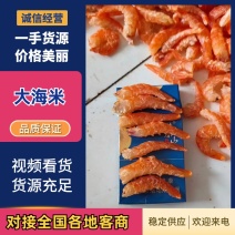 直钩海米、大虾仁、嚼劲十足！口感好大量批发适合电商、社区团购