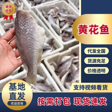 黄花鱼去头去皮去内脏煎炸炖都好吃得鱼代发全国市场价格优惠