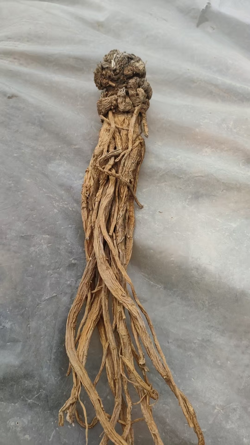 精品独活头片节子片尾片等各种规格常年供应，诚信经营