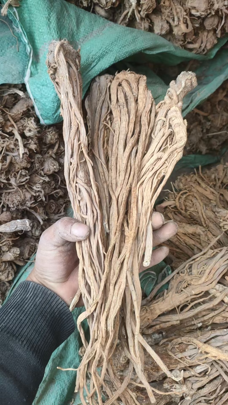 精品独活头片节子片尾片等各种规格常年供应，诚信经营