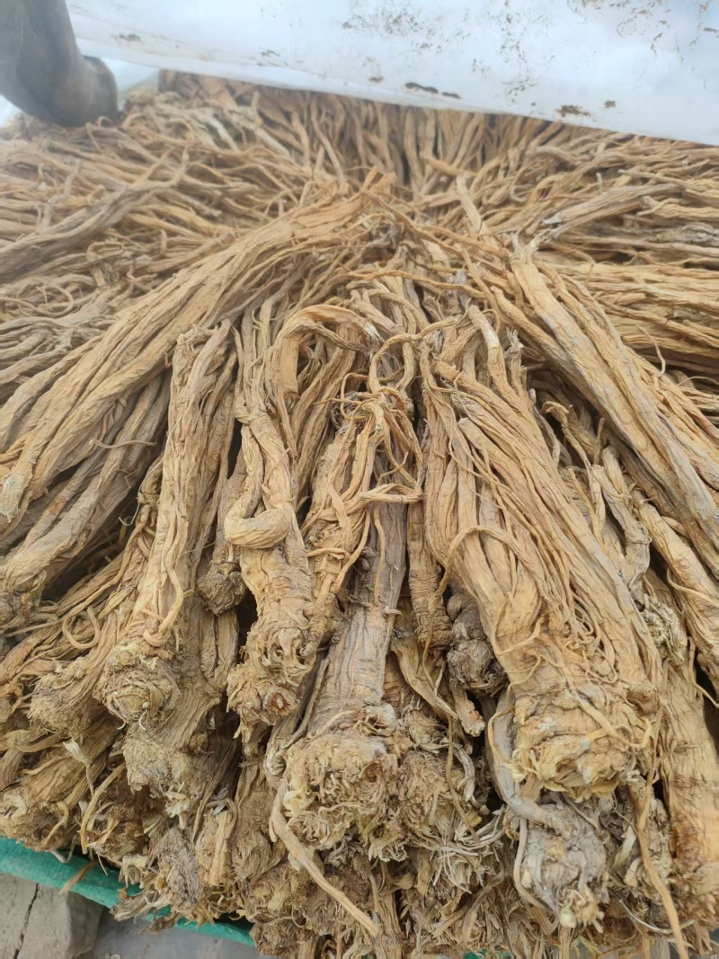 精品独活头片节子片尾片等各种规格常年供应，诚信经营