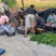 紫玉桃早熟桃春桃水蜜桃脆桃突围桃