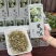茉莉花茶银针王飘雪花茶500g口感鲜爽全嫩芽一斤2罐茶叶