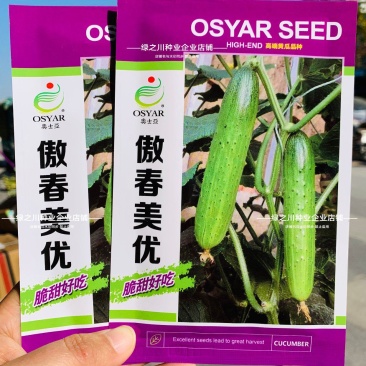 傲春美优水果黄瓜种子强雌旱黄瓜种子脆甜嫩节节有瓜无须蘸花