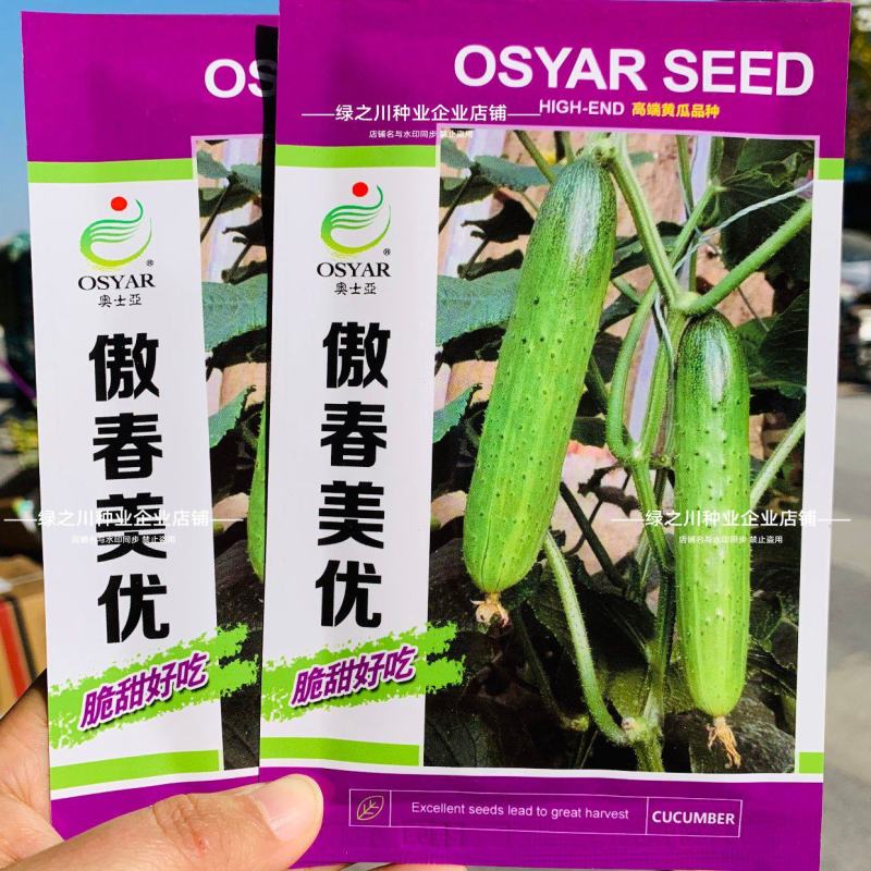 傲春美优水果黄瓜种子强雌旱黄瓜种子脆甜嫩节节有瓜无须蘸花
