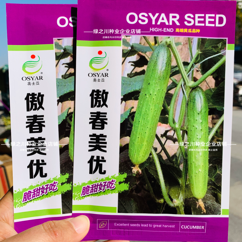 傲春美优水果黄瓜种子强雌旱黄瓜种子脆甜嫩节节有瓜无须蘸花