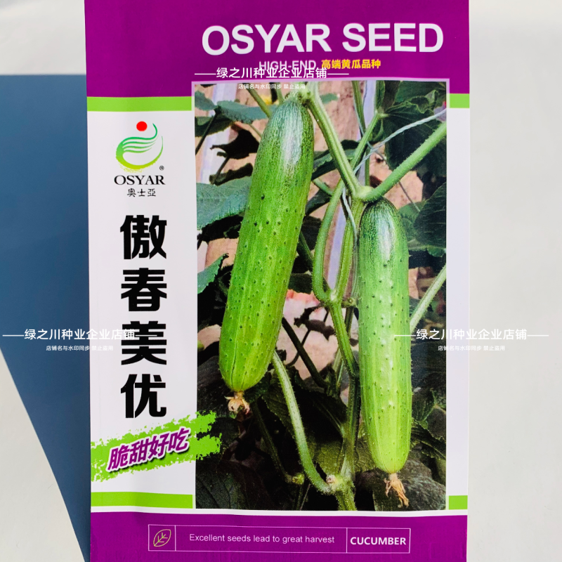傲春美优水果黄瓜种子强雌旱黄瓜种子脆甜嫩节节有瓜无须蘸花