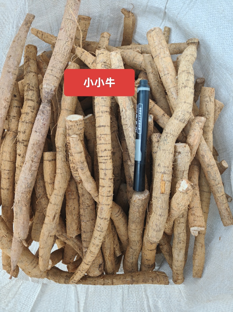 老身黄牛，小小牛10元一斤，小牛13元一斤。