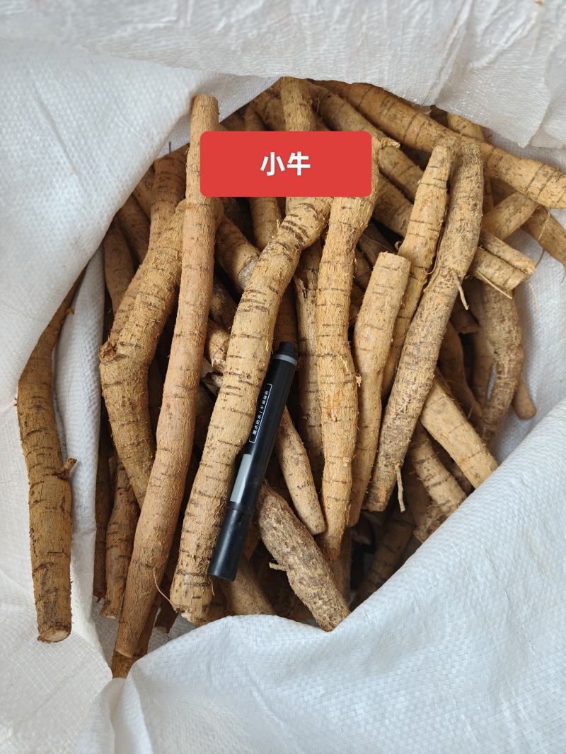 老身黄牛，小小牛10元一斤，小牛13元一斤。
