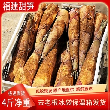 福建新鲜甜笋黄尖笋产地直发农户直供
