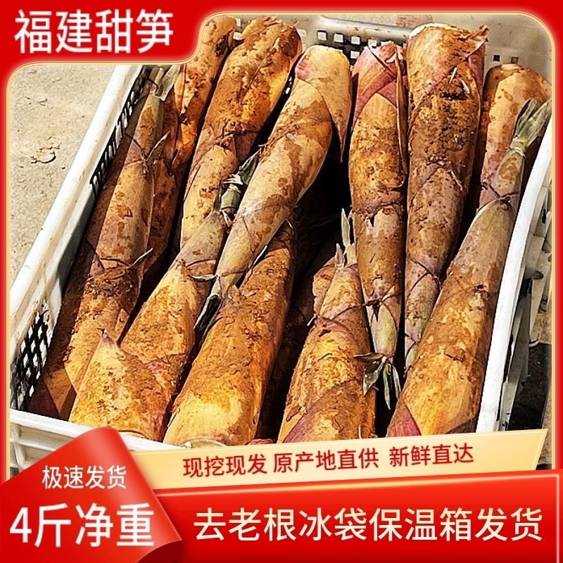 福建新鲜甜笋黄尖笋产地直发农户直供