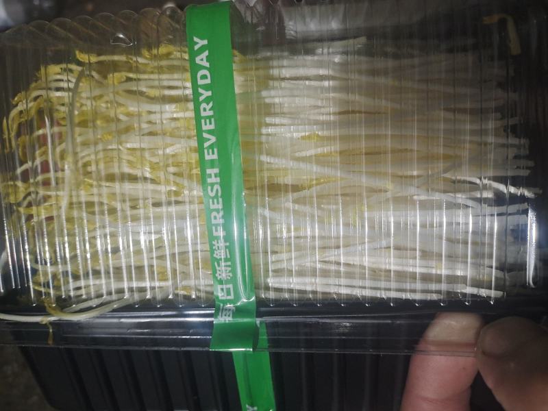豌豆黄金芽