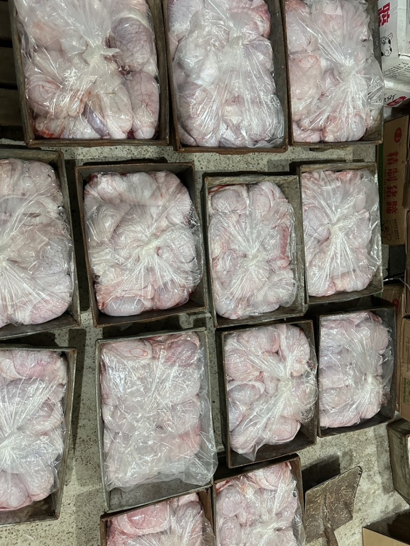 黑龙江齐齐哈尔猪宝