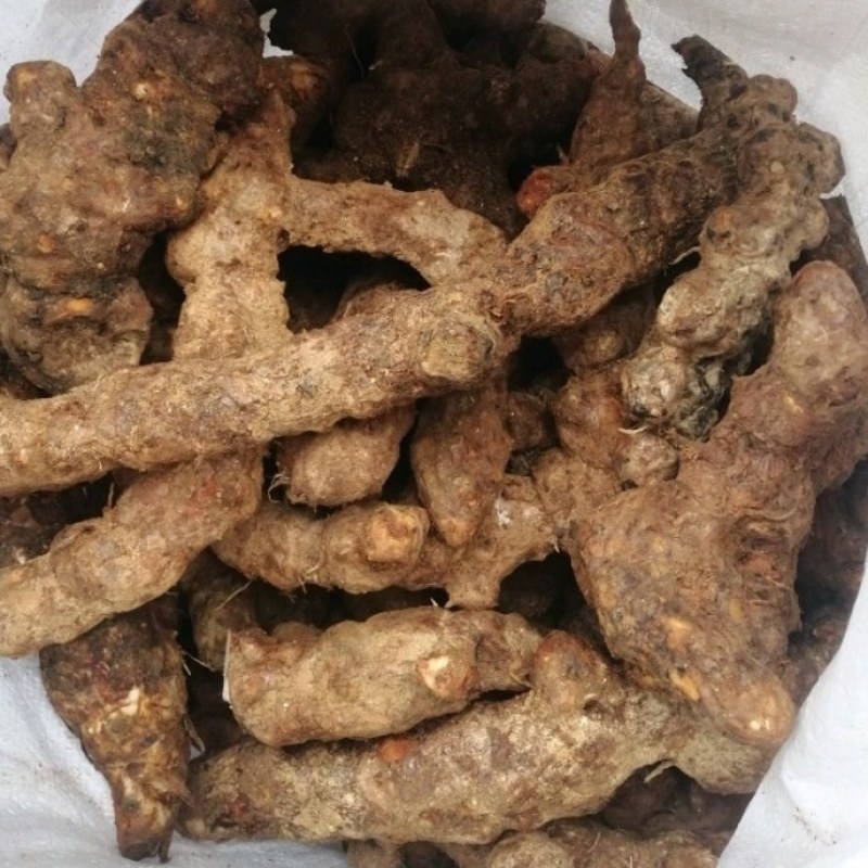 【优选】新鲜茯苓/本地白肉土茯苓，质量新鲜，规格齐全