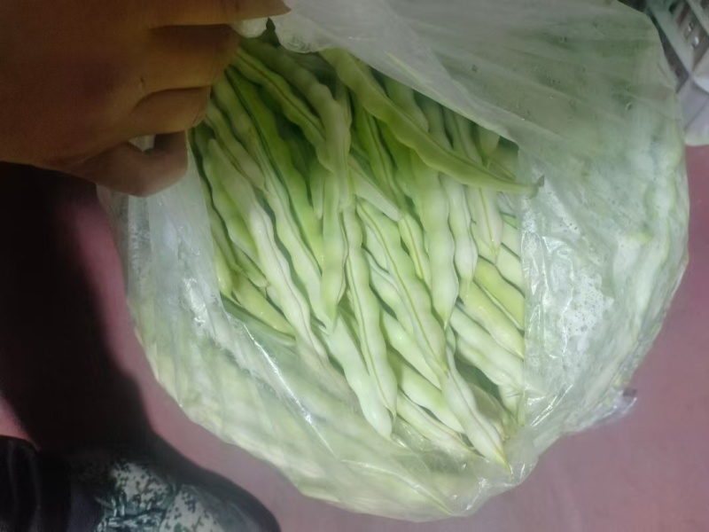 绿头老来少芸豆大量上市，基地自营，无代办费用，，，，，