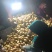 精品承德土豆大量上市产地直发价格优惠支持视频看货来电
