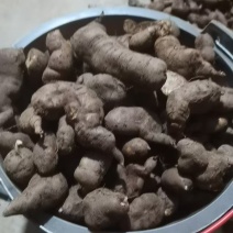 三叶青通货选货都有