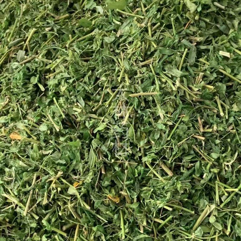 相思茶【包邮】三斤起发货可批量可零售量大从优
