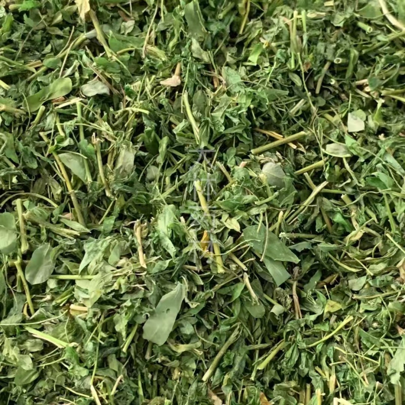 相思茶【包邮】三斤起发货可批量可零售量大从优
