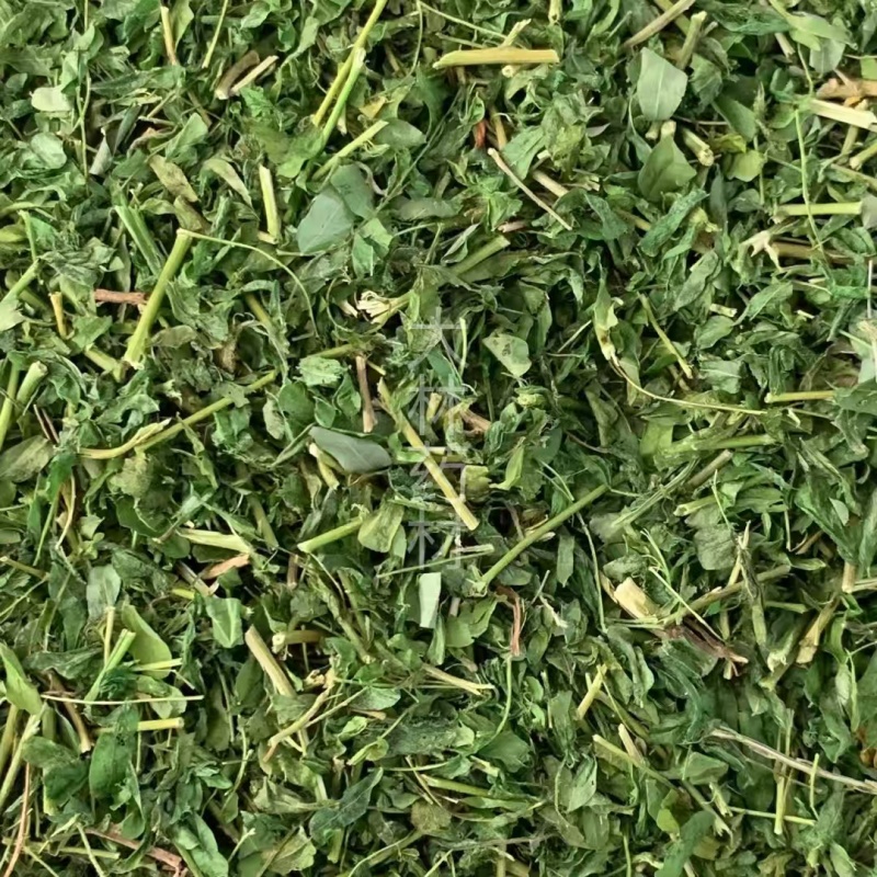 相思茶【包邮】三斤起发货可批量可零售量大从优
