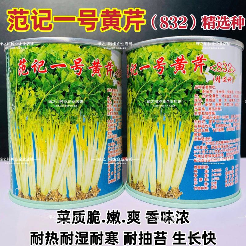 广东范记一号黄心芹种子空心芹菜种子高产芹菜耐热香芹种籽