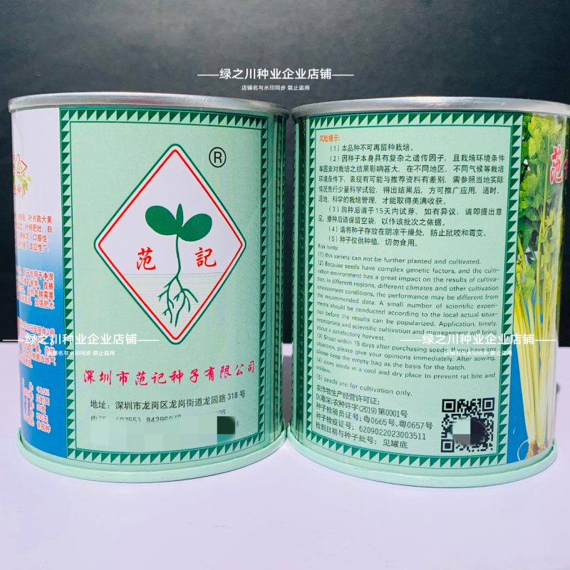 广东范记一号黄心芹种子空心芹菜种子高产芹菜耐热香芹种籽