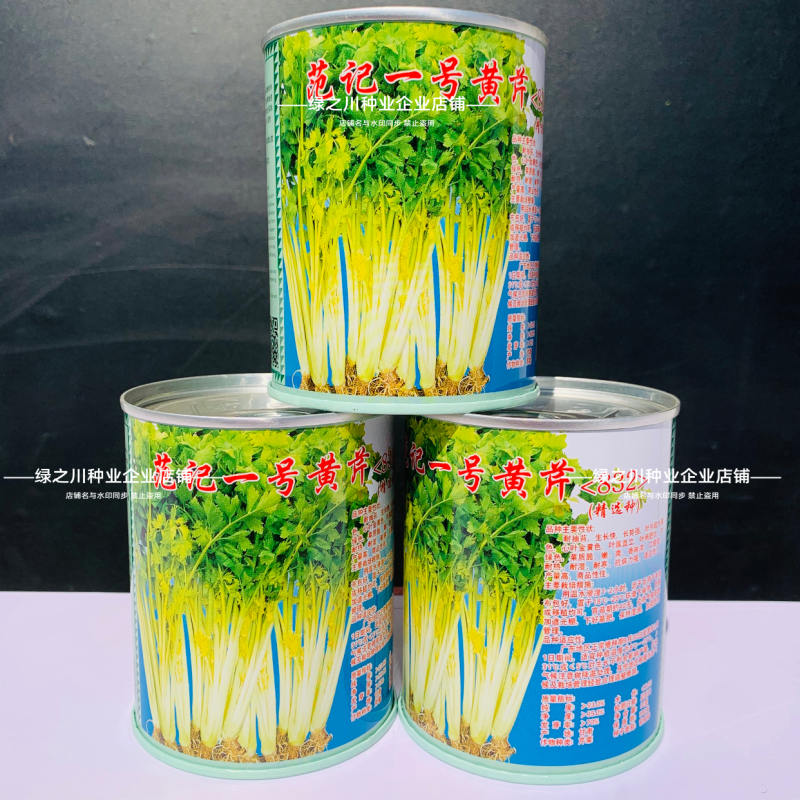 广东范记一号黄心芹种子空心芹菜种子高产芹菜耐热香芹种籽