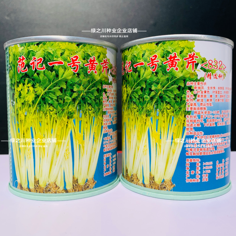广东范记一号黄心芹种子空心芹菜种子高产芹菜耐热香芹种籽