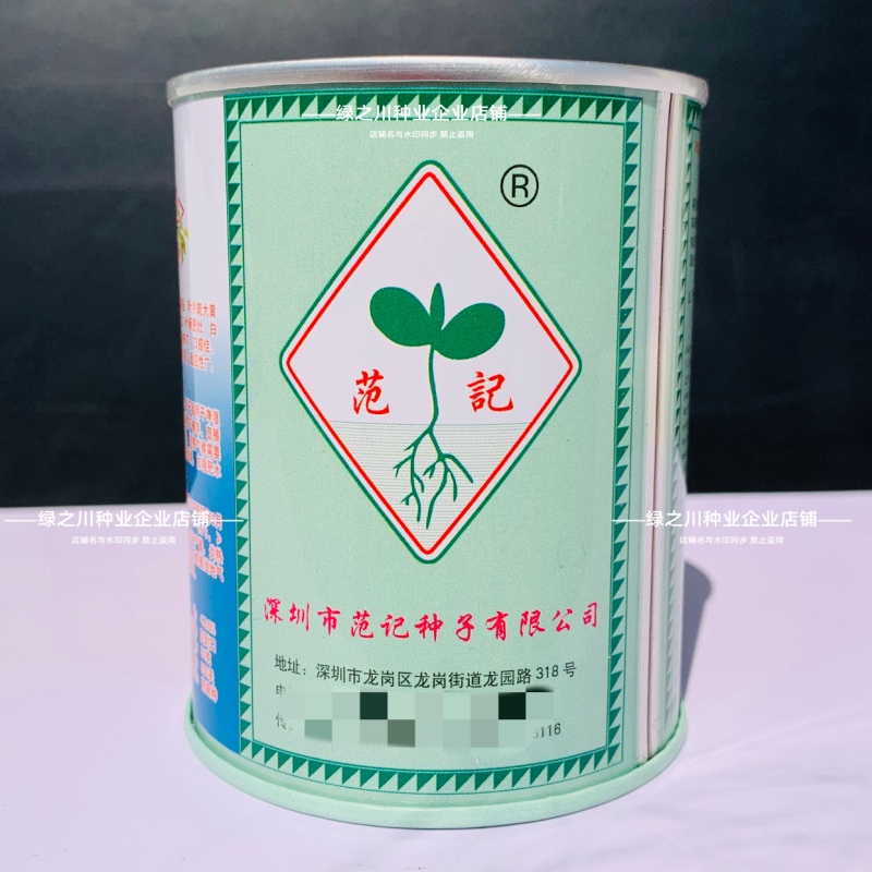 广东范记一号黄心芹种子空心芹菜种子高产芹菜耐热香芹种籽