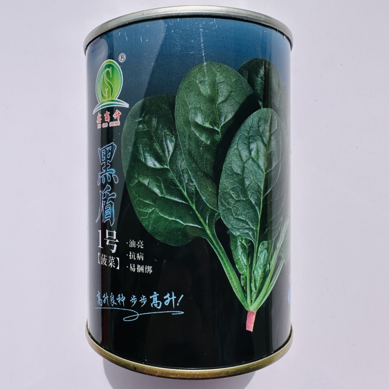 黑盾1号菠菜种子耐寒耐抽苔黑绿油亮菠菜种籽易捆绑春秋蔬菜