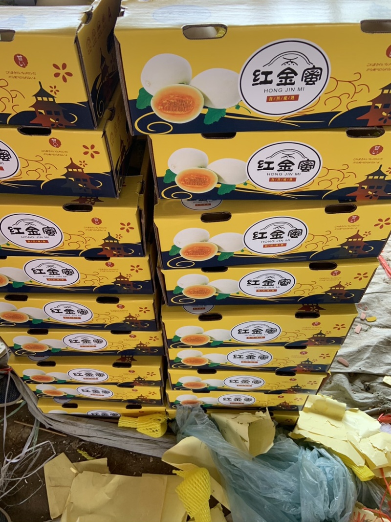 红金蜜莘县红金蜜甜瓜产区直供货源足上货快代收代发